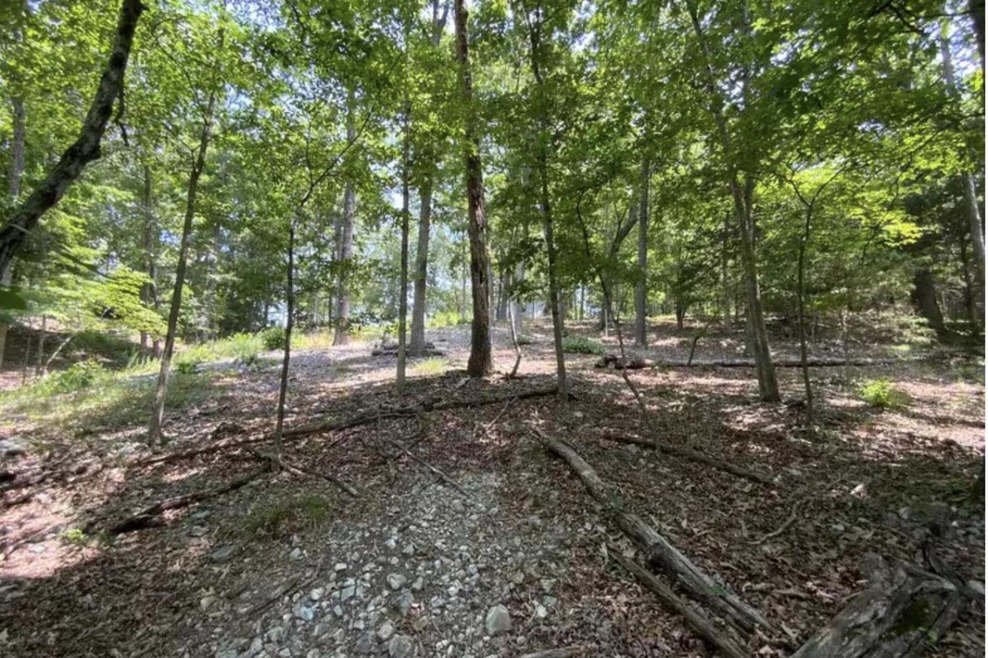Driftwood Resort Bull Shoals Exterior foto