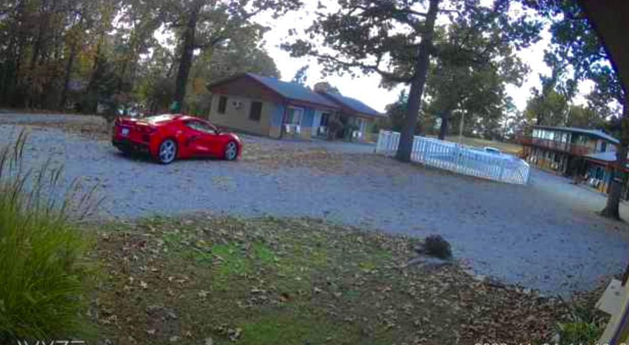 Driftwood Resort Bull Shoals Exterior foto